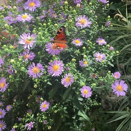Apartamento L'envie D'ailleurs Honfleur