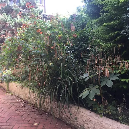 L'envie D'ailleurs オンフルール